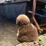 [드루와] 혼자서공부,친구랑공부 ㅊㅂ