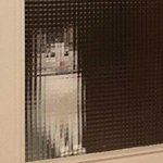 [드루와] 나 피부 개좋아짐 (혐 주의 ㄹㅇ 혐)