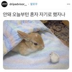 [댓글부탁해] <b>족보</b>닷컴말고 다른 기출 사이트는 없어?? 알려주라ㅠㅠㅈㅂ