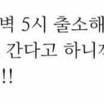 [댓글부탁해] ㅅㅂ 여기다 ㅈㄷ순 글 써도 됨??