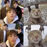 [NCT즌] ㅋㅋㅋㅋㅋㅋ아 넘 <b>기여워</b>
