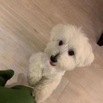 얘들아 나 이거 습관 고쳐야겟지..?ㅋㅋ큐