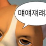 이 <b>말풍선</b> 어디서 하ㅡㄴ는거야