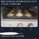 [TXT] 수빈 홈<b>베이킹</b> 탐라 반응ㅋㅋㅋ