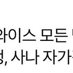 <b>사나</b> 검사 결과 떴다