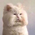 승기야 멫시고 백현이 <b>자러</b>갔드나