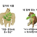[19] 남친ㄱㅊ너무작아서놀램