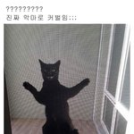 [드루와] 근데 조카 신기하다