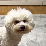 로맨스 <b>소설책</b>인데 제목이