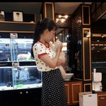 [고양이] 태린이