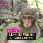 헐 찬열 <b>정글</b>의법칙 나오네