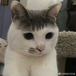 [드루와] 너네 <b>ISFJ</b> 특유의 분위기 아냐