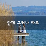 [이거꼭봐요] 함께 그러나 따로~