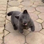 <b>파마</b> 1년가면 뽕뽑은거야?