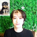 <b>욜</b>키