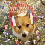 걸암<b>유얼</b>캔디 기가막힌케미스트리