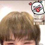 [NCT] 복근있냐고 물어보니까 부끄러워하는 <b>타로</b>...