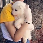 <b>변백현이</b> 조용하면 뭐 준비중이라 바쁜거임