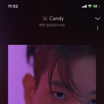 캔디는 안질려
