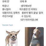 [댓글부탁해] 1월부터 고2<b>선행</b> 나가면 ㅈㄴ늦은거겠지..?