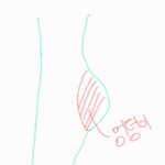 엉덩이는 두 <b>개지</b>