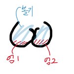 엉덩이가 2개인 이유