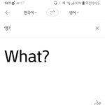 엥?이 뭐로 <b>번역</b>되는지 확인했는데....