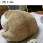 [드루와] 얘들아 ㅅㅂ 나 조별 <b>수행</b>평가 어카지