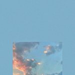 우리의 <b>네모</b>칸은 bloom