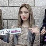 윈터 졀라 <b>마름</b>