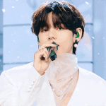 방탄도 예능좀