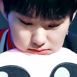 <b>햄</b><b>찌</b> 닮은 아이돌