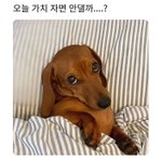 [추반] 인스탁스 폴라로이드 팔까말까