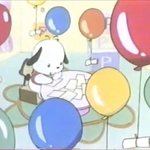 <b>명창</b> 강아지