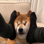 [댓글부탁해] 내 뒷담깐애한테 보톡부재중왔는데