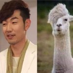 [드루와] 이게 내잘못이냐