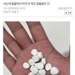 펜트하우스 보는사람!!!!