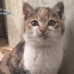 [드루와] 내ㅜ성격 진짜 ㅈ같은듯