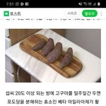 <b>여주</b> 고구마 짱!!!