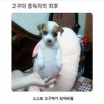 [추반] 고1 입술<b>필러</b> 에바야??