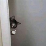 나 고등학교 떨어질수도 있을깦퓨ㅠ