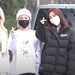 [연예인] 모모랜드 <b>비글</b>미 강추!