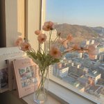 [드루와] 인스타 보정 이런 색은 대체 어<b>캐해</b>?