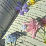 [드루와] 펜팔 처음하는 친구들아 팁 알려줄게!