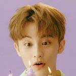 [NCT] 혹시 드림 시그 <b>본품</b>만