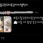 [NCT] 웃프다 ... (짹 끌올)