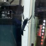 왜우리집<b>가재</b>는이러고자지??