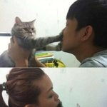 <b>집사</b>야 하지마라