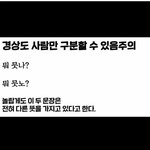 오 <b>수도</b>권 애들 ㄹㅇ 이거 뜻 모르냐?