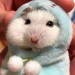 [드루와] 아이돌 담배핀다고 난리나는거 넘 신기하지않냐...